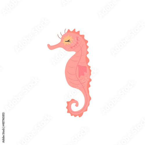 Seahorse on a white background. Marine animal vector illustration