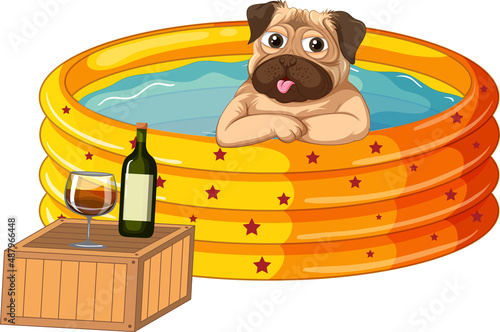 Pug soaking in water drinking wine