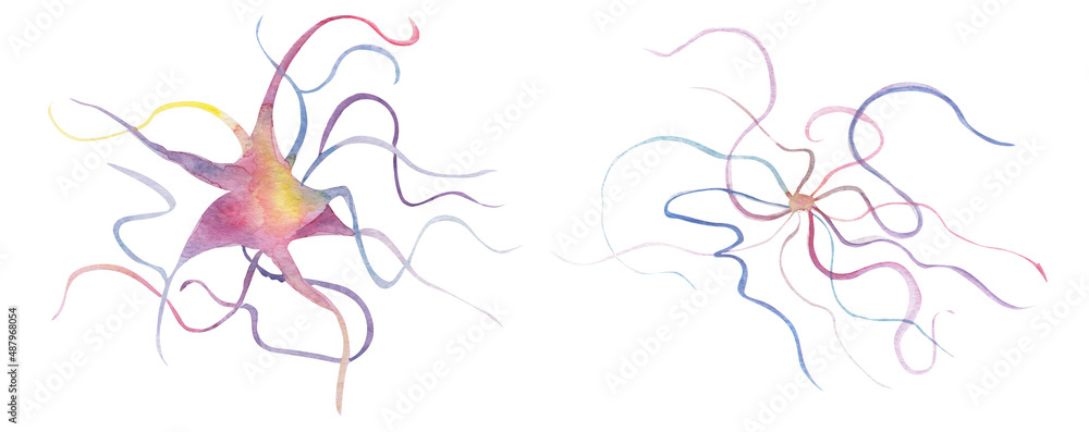 Neurons abstraction watercolor elements set. Template for decorating designs and illustrations.	
