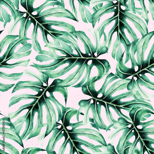 Monstera leaves on light pink background watercolor seamless pattern. Template for decorating designs and illustrations. 