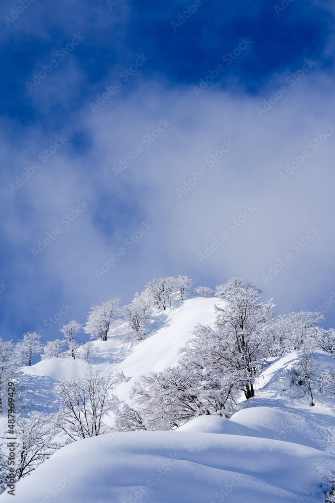 降りたての雪に晴れ渡った空の対比が美しい冬の風景