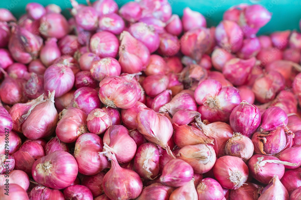 Shallot put together as a group in basket basket at the market, Fresh red onions background, shallots fresh purple in basket, Shallots close up ,Vegetables for health Shallots is herbal. Shallot put together as a group in basket basket at the market, Fresh red onions background, shallots fresh purple in basket, Shallots close up ,Vegetables for health Shallots is herbal.