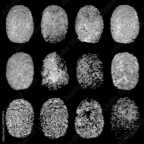 White Fingerprint Vector Collection