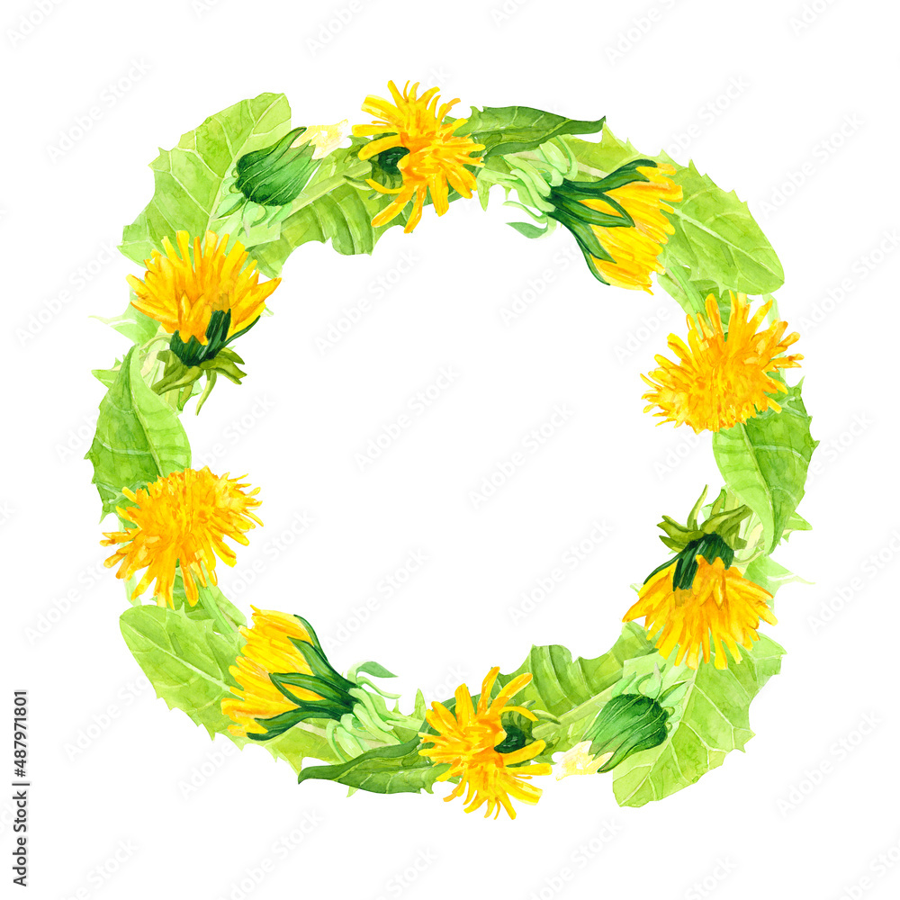 Watercolor wreath of dandelion buds and green leaves on isolated white background, romantic botanical illustration of summer yellow flowers, frame for text. Watercolor wreath of dandelion buds and green leaves on isolated white background, romantic botanical illustration of summer yellow flowers, frame for text.