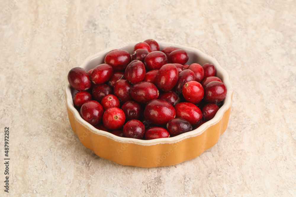 Ripe sweet tasty cranberry in the bowl Ripe sweet tasty cranberry in the bowl