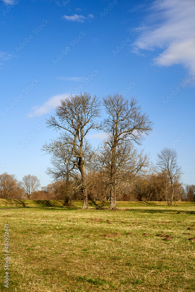 Flussaue der Weißen Elster zwischen Bornitz bei Zeitz und Göbitz, Burgenlandkreis, Sachsen-Anhalt, Deutschland