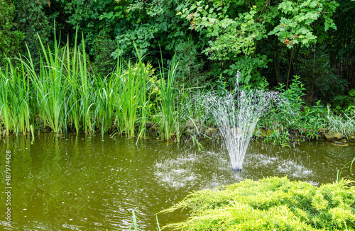 Cascade fountain on emerald surface of pond in the old shady garden. Freshness and coolness on a sunny day.