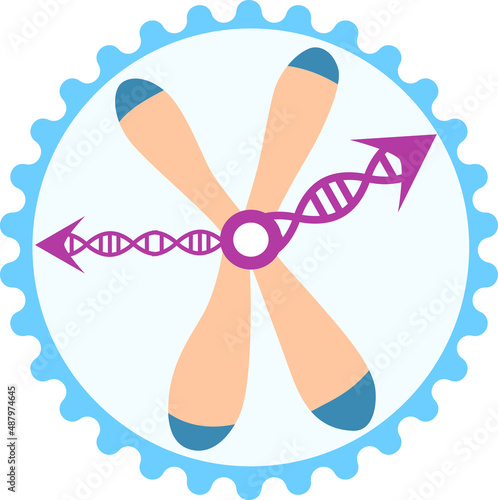 Biological clock within somatic cell