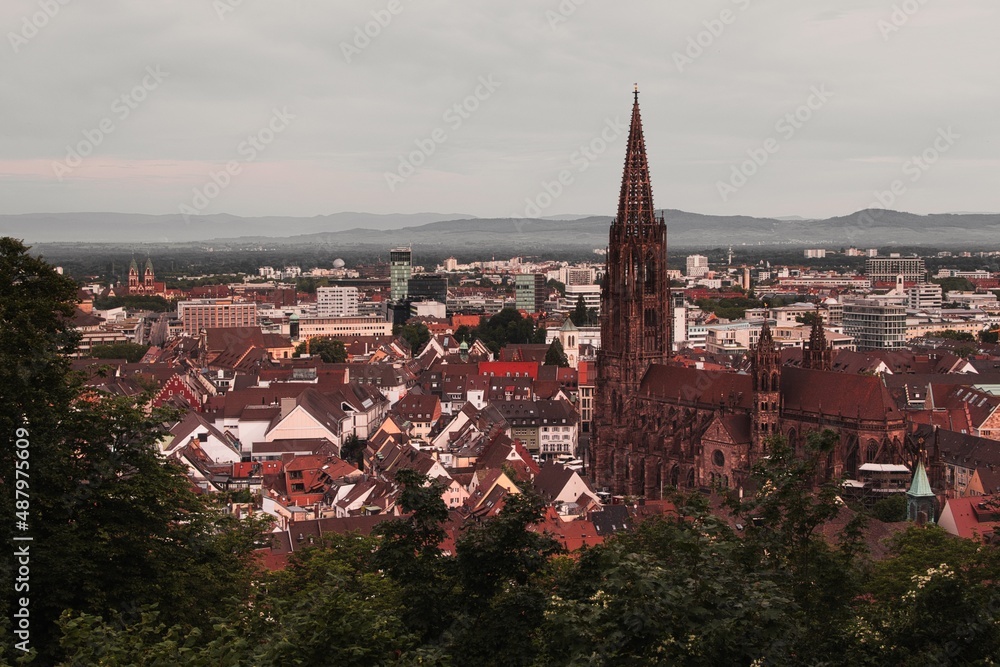Freiburger Münster und Altstadt