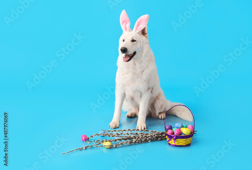 Funny white dog in bunny ea...