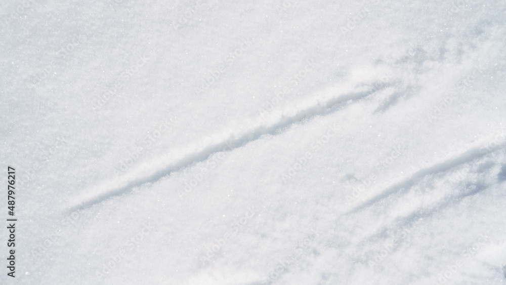 snow surface texture background