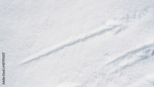 snow surface texture background