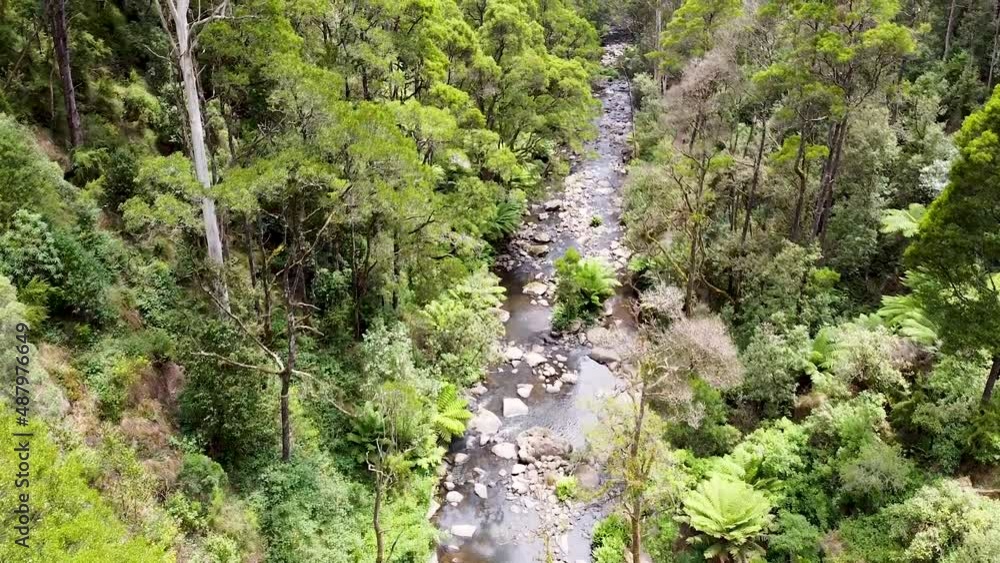 Aerial shot of river that cuts through the Australian Bush, Victoria Aerial shot of river that cuts through the Australian Bush, Victoria