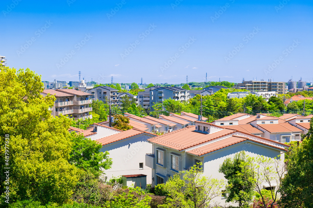 Fototapeta premium 青空が広がる郊外の住宅地