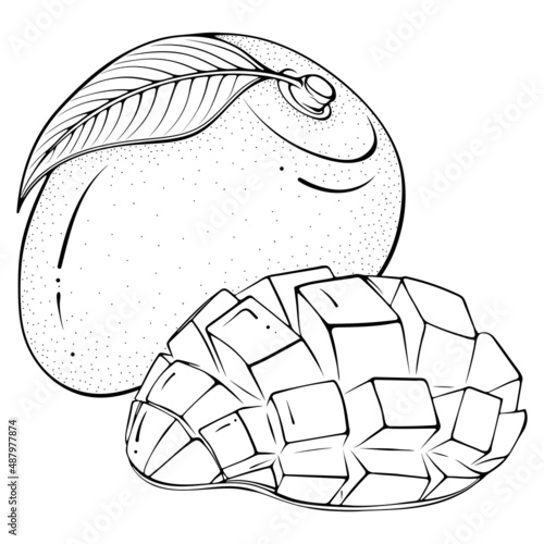 Whole and chopped half mango. Vector illustrations in hand drawn sketch doodle style. Line art fruit isolated on white. Element for coloring book, design, print.