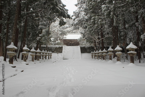 Fototapet 鳥取東照宮の雪景色
(Snow view of Tottori Toshogu Shrine)