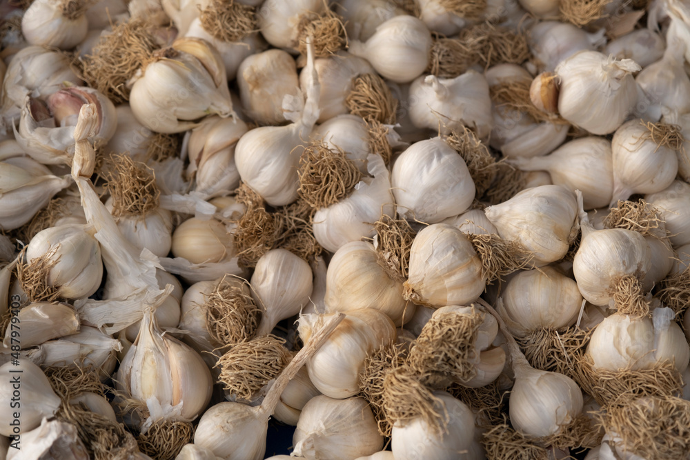 Ripe garlic sold in the market Ripe garlic sold in the market