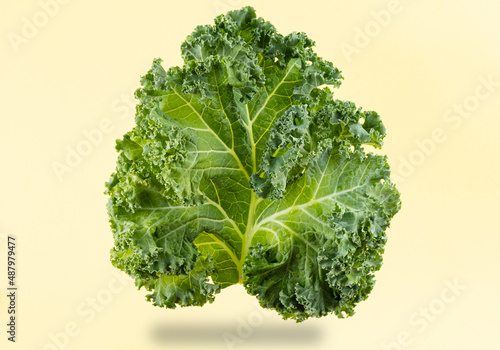 Kale leaf close-up on a bright background.