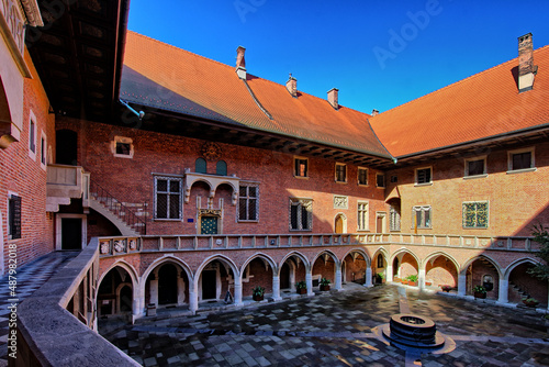 Collegium Maiuis