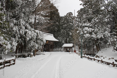 鳥取東照宮の雪景色
(Snow view of Tottori Toshogu Shrine)