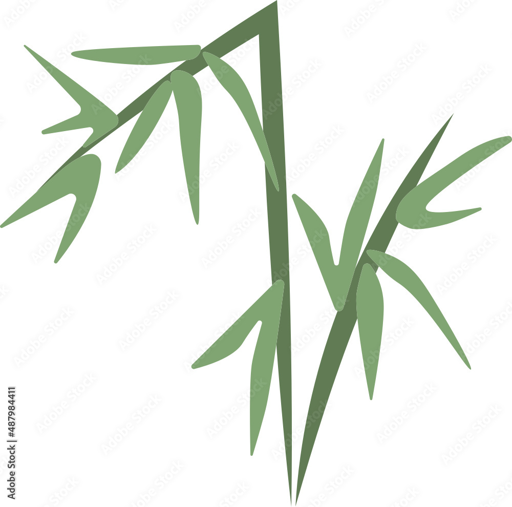 Fototapeta premium Bamboo illustration