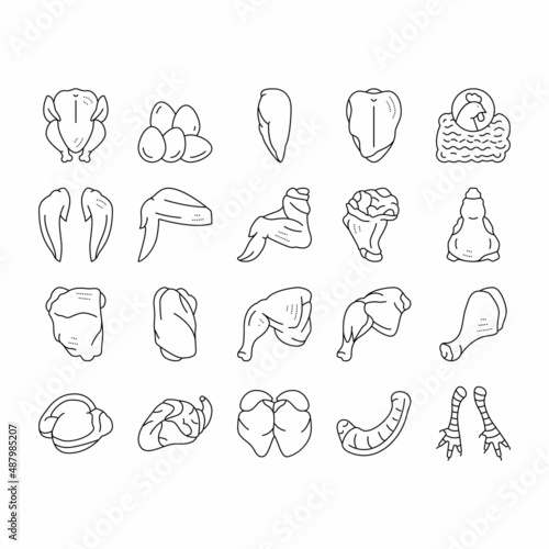Chicken Animal Farm Raw Meat Food Icons Set Vector .