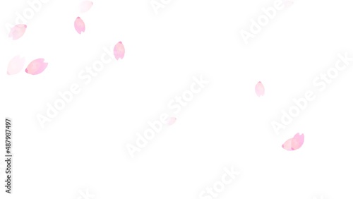 水彩手描きの和風桜の花びらループアニメーション（アルファチャンネル）