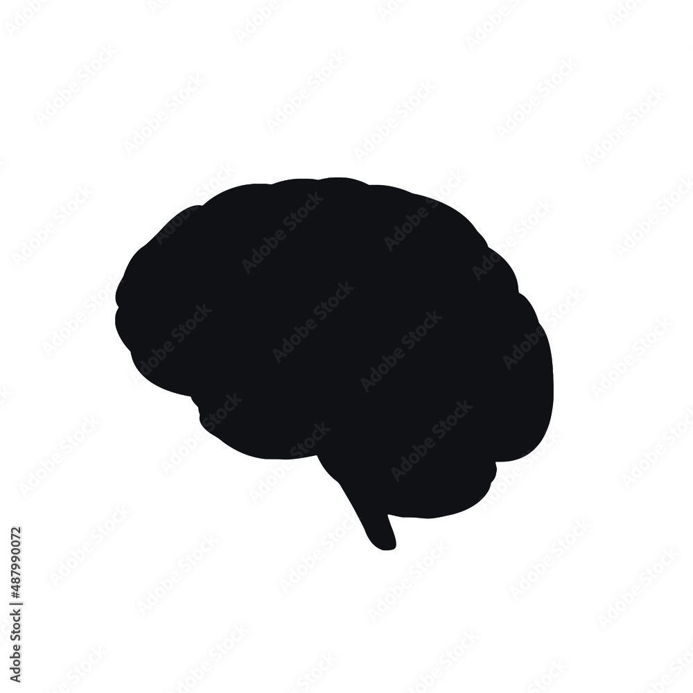 human brain illustration human brain illustration