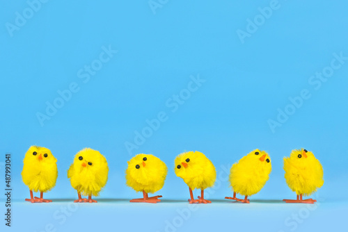 Foto Small decorative easter chickens in a row on blue background