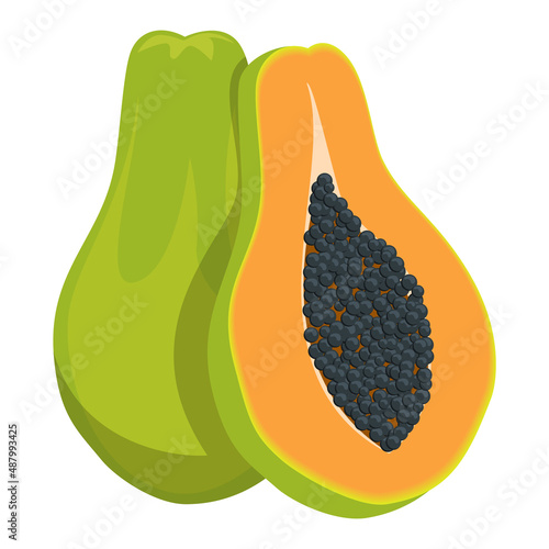 Papaya vector isolated. Illustration of exotic fruit, organic raw product. Halved papaya with seeds inside. Fruit pulp.