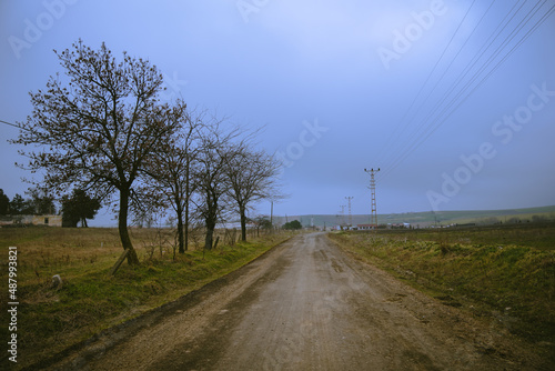 Village road, road in the countryside and trees, cloudy weather, Thrace, Turkey