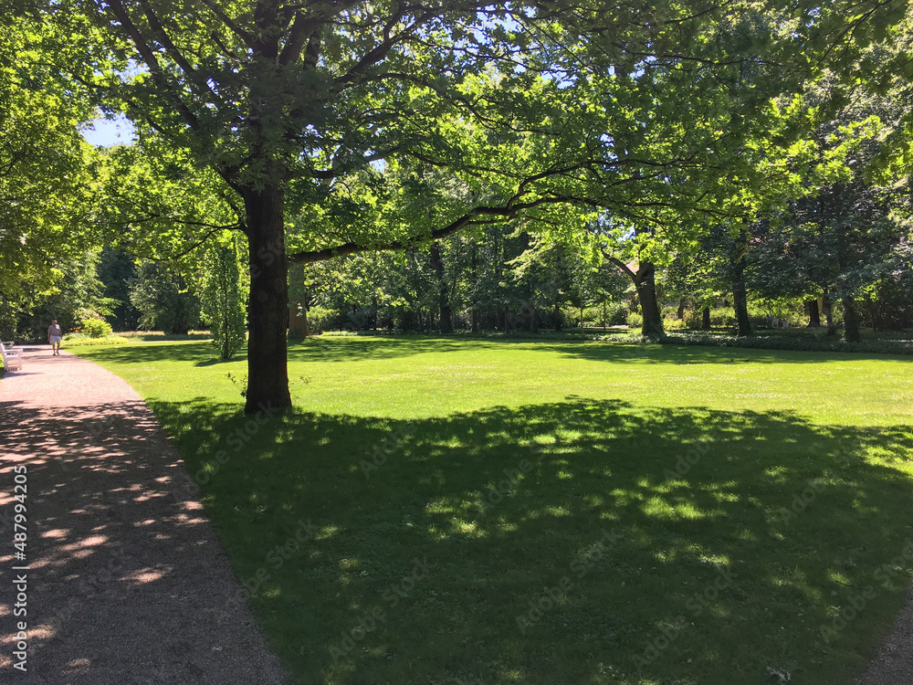 path in the park