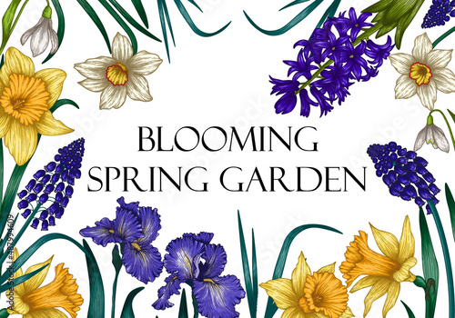 Vector illustration of a blooming spring garden frame. Banner template. Graphic linear colored flowers. Daffodils, irises, muscari, hyacinths, snowdrops
