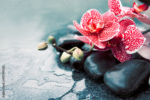 Spa concept with zen stones and pink orchid.