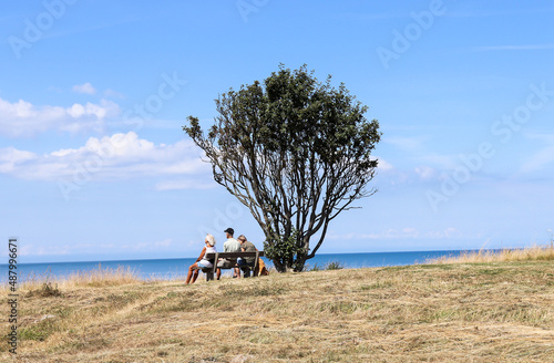 The family sits on benches under a tree and looks at the sea. Natural and sea landscape. Beautiful beach blue sea water. Blue sky background. Sea skyline. High quality photo