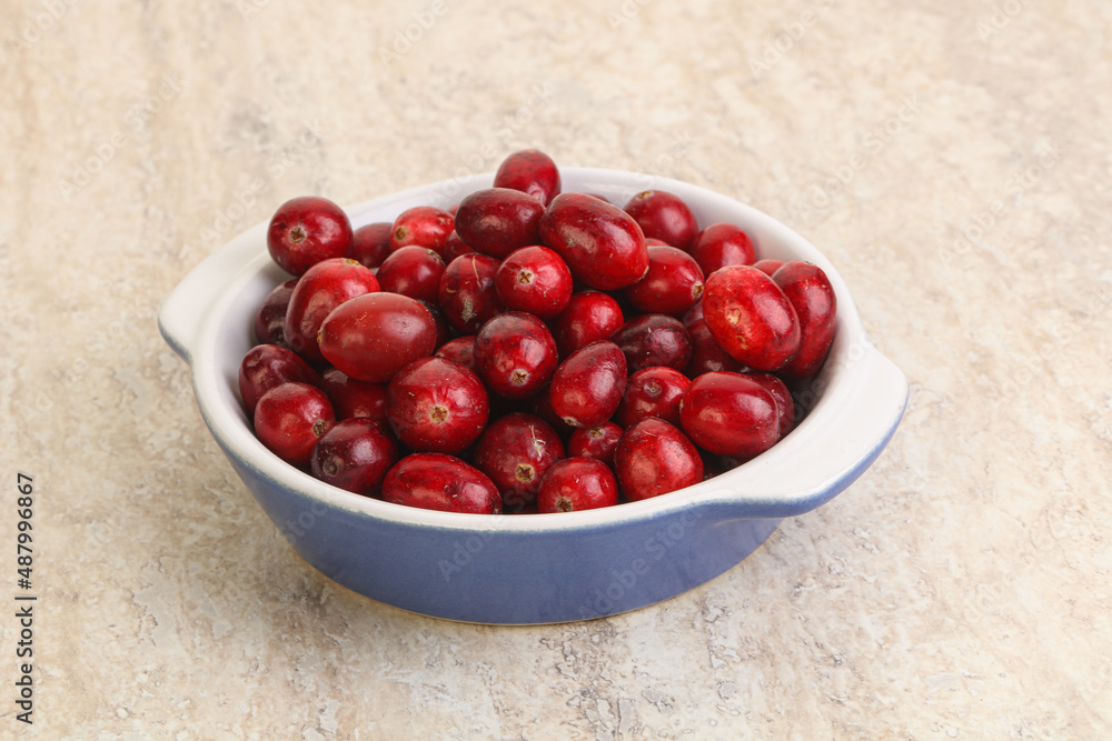 Ripe sweet tasty cranberry in the bowl Ripe sweet tasty cranberry in the bowl
