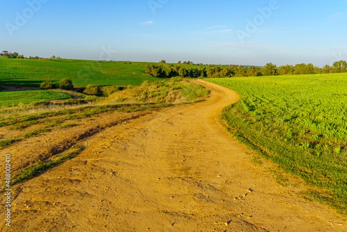 Obraz na plátně Countryside in the Ruhama Badlands, the Northern Negev Desert