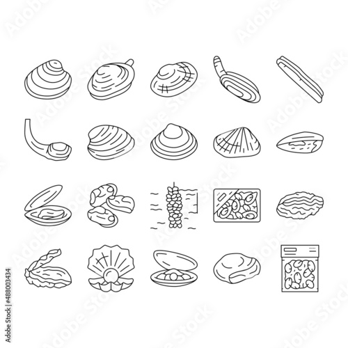 Clam Marine Sea Farm Nutrition Icons Set Vector .