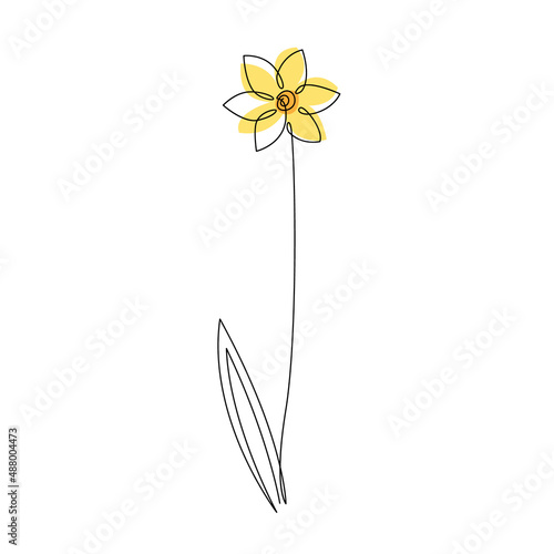 Daffodil flower in continuous line drawing style. Black line sketch on white background. Vector illustration
