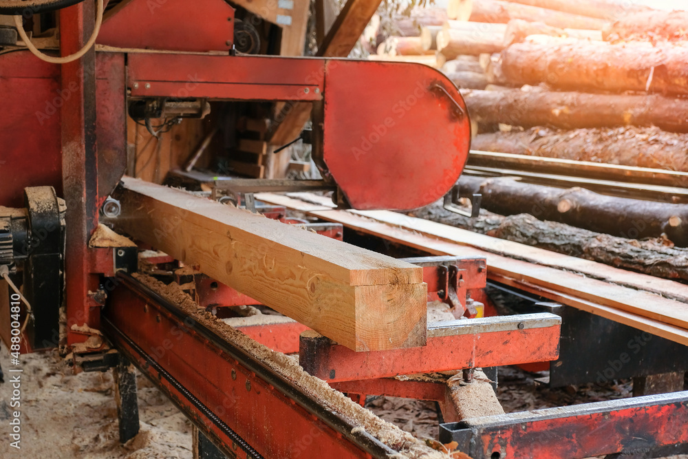 The process of processing pine wood at a sawmill. Timber industry
