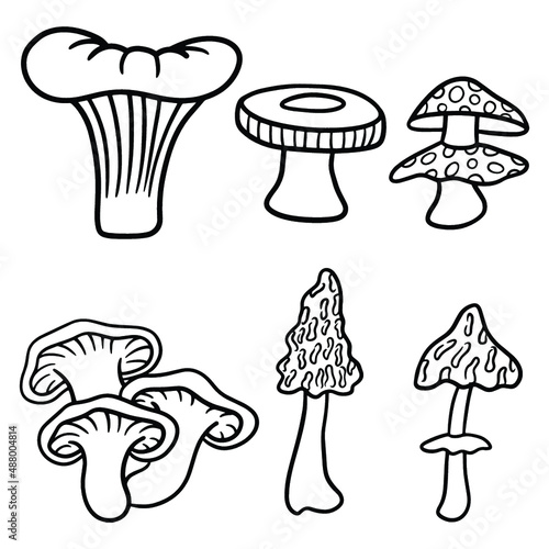 Mushroom Drawing