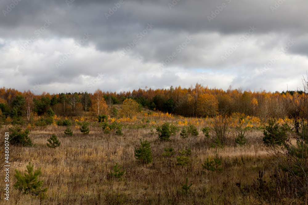 trees and plants in the autumn season trees and plants in the autumn season
