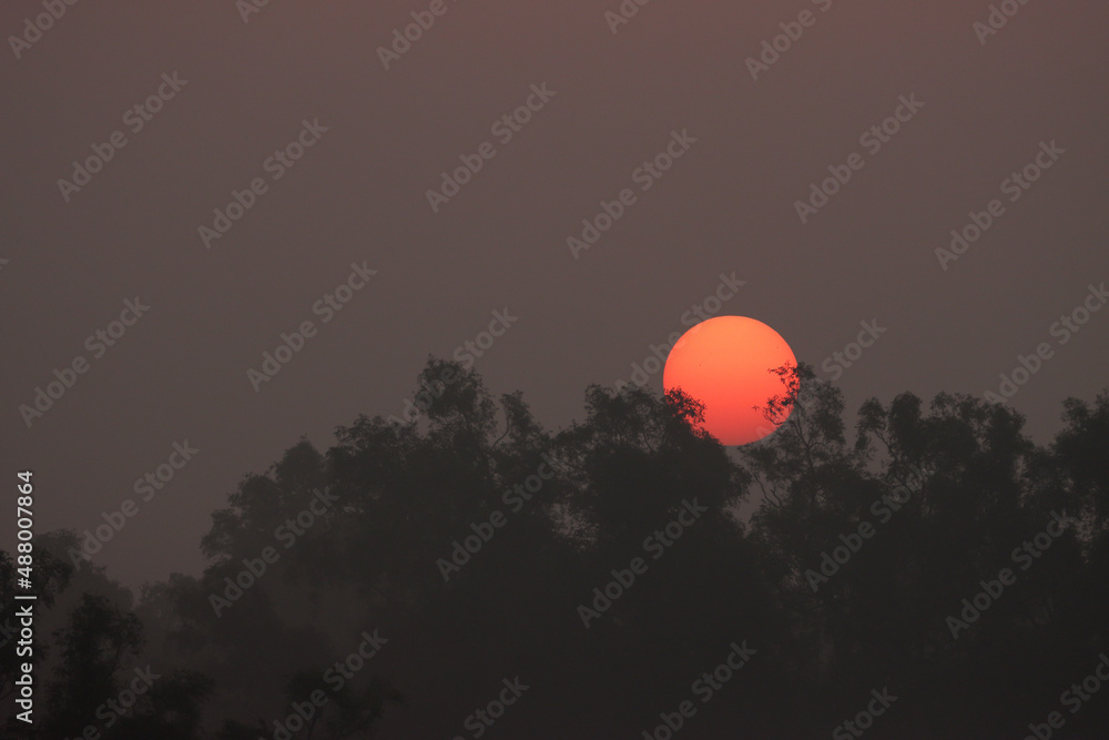 Sunset At Sundarbans.Sundarbans is the biggest natural mangrove forest in the world, located between Bangladesh and India.this photo was taken from Bangladesh.