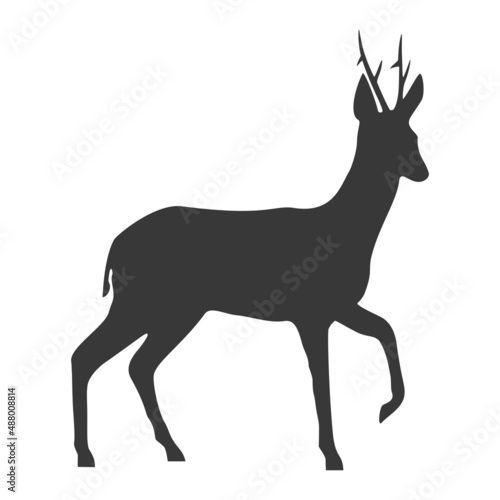 Roe deer silhouette, icon. Vector illustration on a white background.
