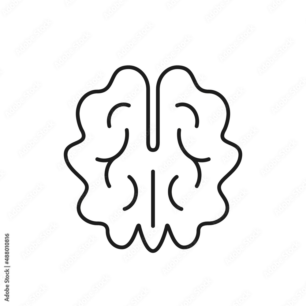 Walnut outline vector icon, outline isolated simple nut symbol Walnut outline vector icon, outline isolated simple nut symbol
