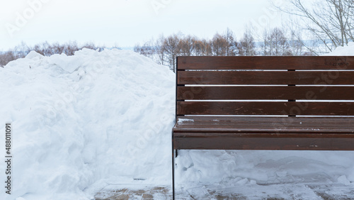 bench in the park