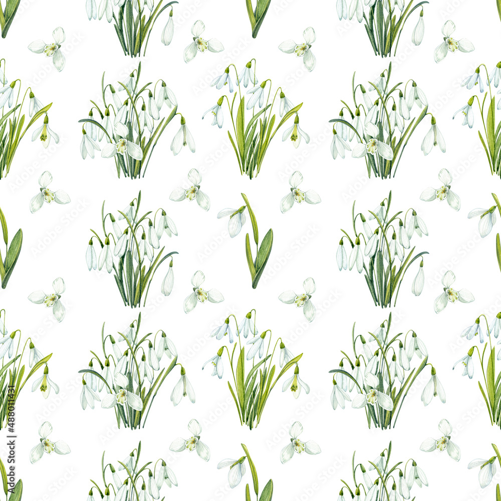 Snowdrops. Seamless pattern in watercolor. Spring flowers on a white background.