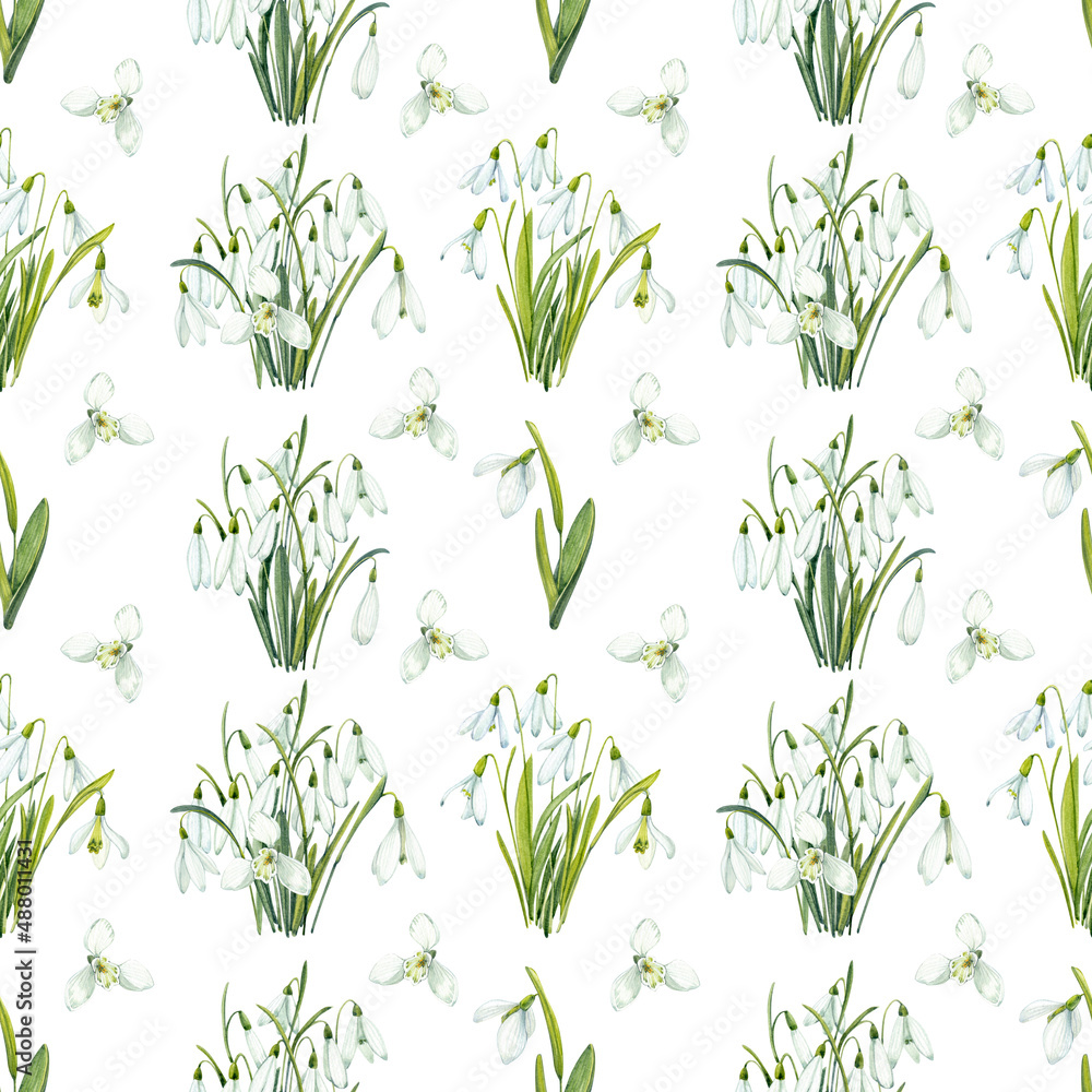 Snowdrops. Seamless pattern in watercolor. Spring flowers on a white background. Snowdrops. Seamless pattern in watercolor. Spring flowers on a white background.
