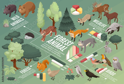 Forest Animals Infographic Composition