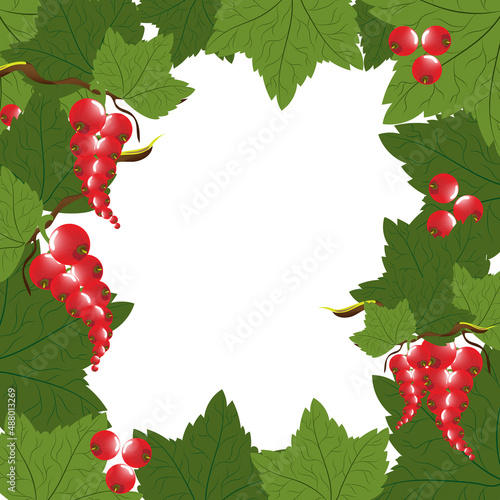 Frame of fresh red currant berries and green leaves of different shades on a transparent background